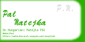 pal matejka business card