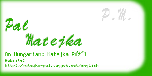 pal matejka business card